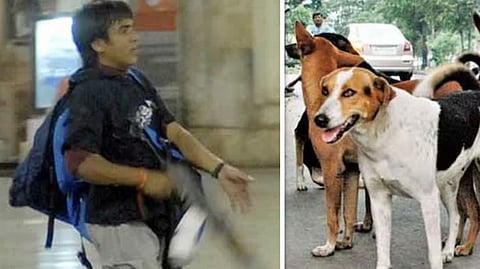 आवारा कुत्तों से जुड़ी सुनवाई में अजमल कसाब का क्यों आया नाम?