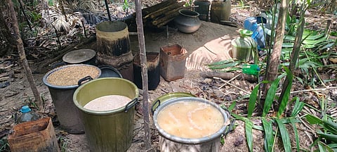 कालीघाट पुलिस ने तालबागान जंगल से बड़ी मात्रा में शराब जब्त, 1025 लीटर लाहन नष्ट