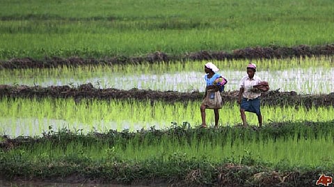 कृषि विकास में बंगाल मॉडल, शिवराज ने की सराहना
