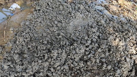 सड़क निर्माण में घटिया सामग्री