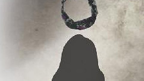 फाइल फोटो