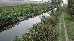 कैनल सफाई व रखरखाव के लिए कमेटी