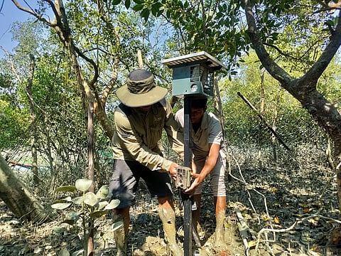 एनिमल डिटेक्शन एंड रिपेलेंट सिस्टम लगाते हुए