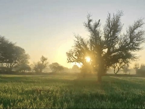 अच्छे दिन खत्म! दो दिन बाद 33 डिग्री तक पहुंचेगा पारा