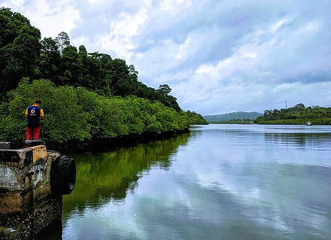 मैंग्रोव क्रीक पर्यटन कार्यक्रम 21 फरवरी को