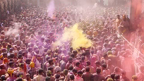 होली उत्सव