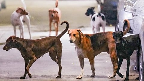 फाइल फोटो