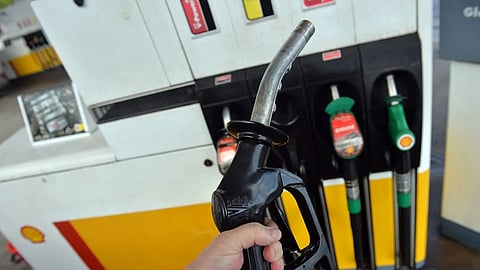 फाइल फोटो।