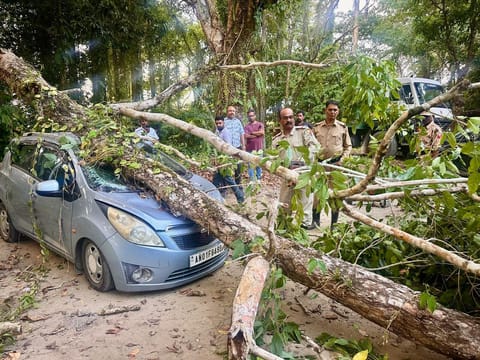 नीलांबुर फॉरेस्ट गेस्ट हाउस के पास कार पर गिरा पेड़ हटाया गया