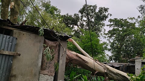 भयंकर तूफान में 250 बिजली के खंभे क्षतिग्रस्त