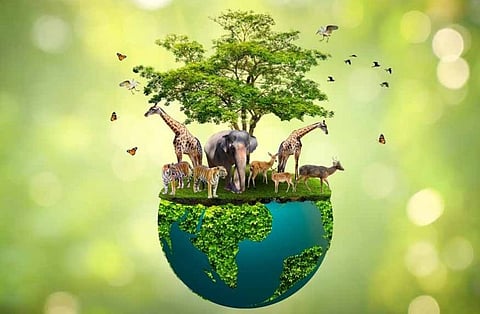 Biodiversity