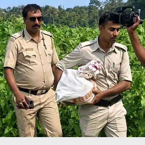 Baduria Chairman Arrest: Crores of Cash Recovered from Jute Field in Basirhat