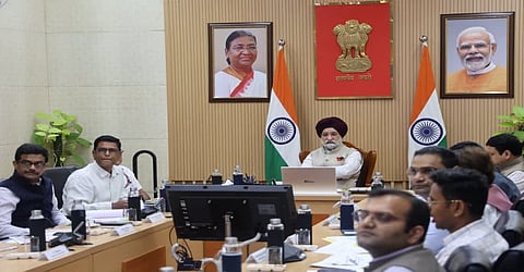 विदेशी या सजावटी पौधों की बजाय स्थानीय परिस्थितियों के अनुकूल देशी प्रजातियों को प्राथमिकता देने का फैसला