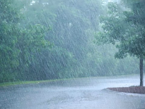 Rain