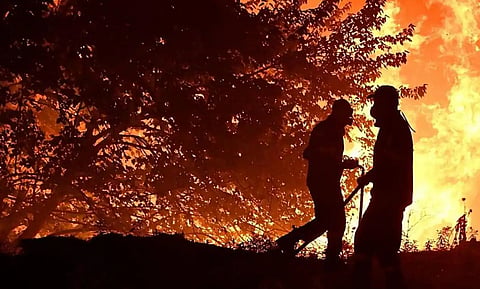 Extinguishing the forest fire
