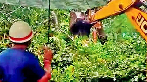हाबरा में जेशोर रोड पर गिरे दो पेड़, चार घंटे तक यातायात ठप