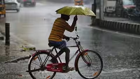 बंगाल में मॉनसून सक्रिय, रविवार तक दक्षिण बंगाल बारिश रहेगी जारी