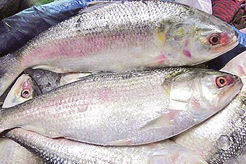 Kolkata