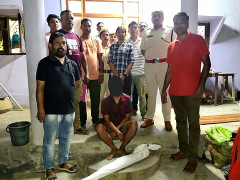 समाचार 3 के लिए फोटो कैप्शन: कदमतला में अवैध गांजा खेती के खिलाफ कार्रवाई के दौरान जब्त किया गया गांजे का पौधा।