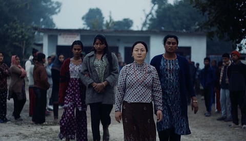 'Elephants in the Fog' selected for the Oscars