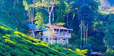 Homestay
