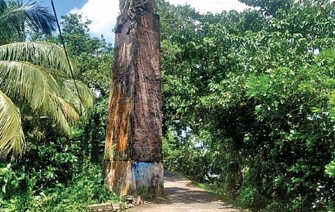 British Era Lighthouse Losing Existence in Uluberia Howrah