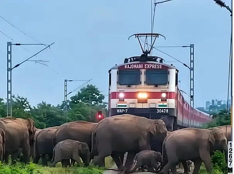 राजधानी एक्सप्रेस के सामने आया हाथियों का झुंड