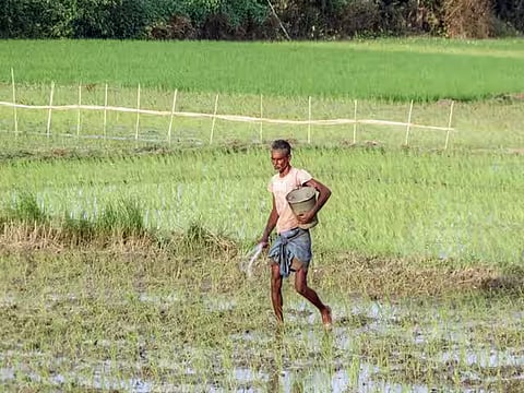 1.14 लाख किसान परिवारों को 28.60 करोड़ रुपये जारी