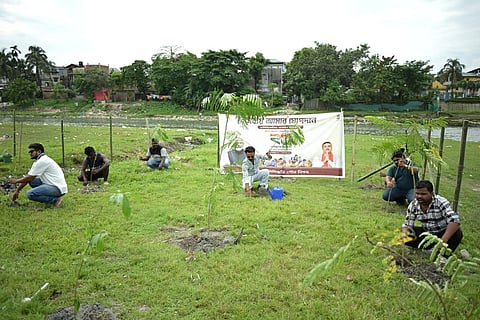 Plantation program