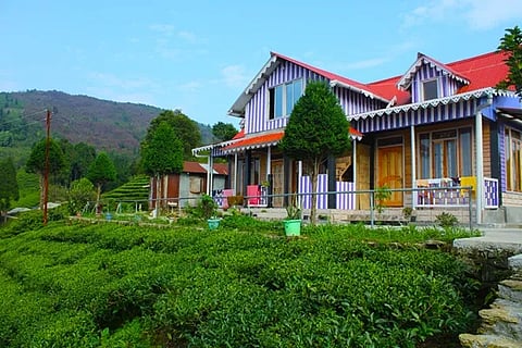 Homestay in siitong