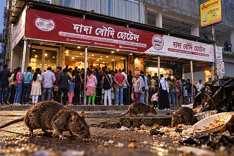 बिरयानी रेस्टोरेंट में चूहे घूमने का वीडियो वायरल, मैनेजर से ग्राहक की बहस