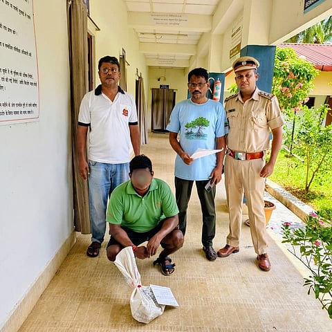 हट बे जेट्टी पर यात्री के सामान से संदिग्ध जंगली सूअर का मांस बरामद होने के मामले से संबंधित तस्वीर।