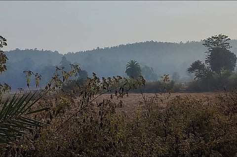 बेलपहाड़ी का दृश्य