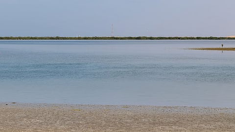Oil spill in the UAE; all beaches in Umm Al Quwain closed