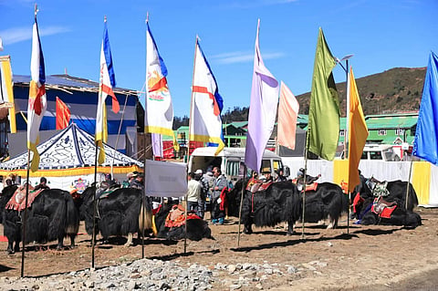 सिक्किम के नाथांग में प्रथम हिमालयी याक महोत्सव आयोजित