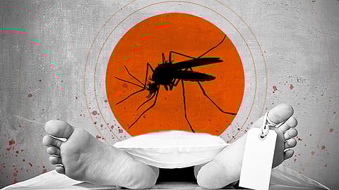 Dengue Alert : तेजी से बढ़ रहे डेंगू के मामले , अब तक 4 लोगों की मौत