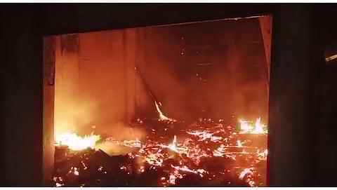 डेमो पिक