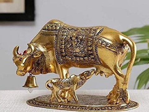 साल की सबसे बड़ी एकादशी पर घर ले आएं ये एक चीज, हो जाएंगे मालामाल