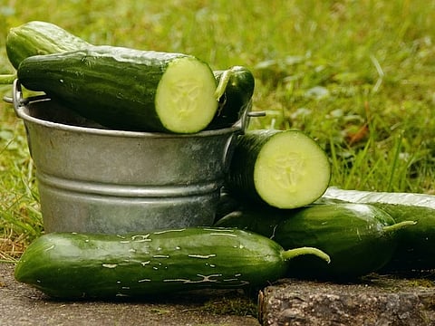 चेहरे पर हफ्ते में 2 बार लगाएं ये एक चीज, गर्मियों में…