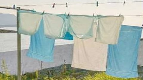 अंडरगारमेंट की वजह से में हुआ खूनी खेल, 8 लोग घायल