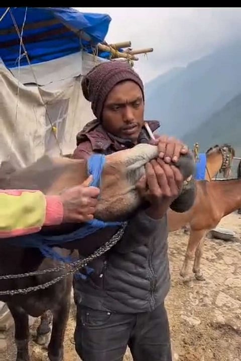 फोटो साभार गूगल