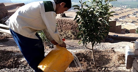 पर्यावरणविदों ने पंचायत चुनाव पर जारी किया मैनिफेस्टो