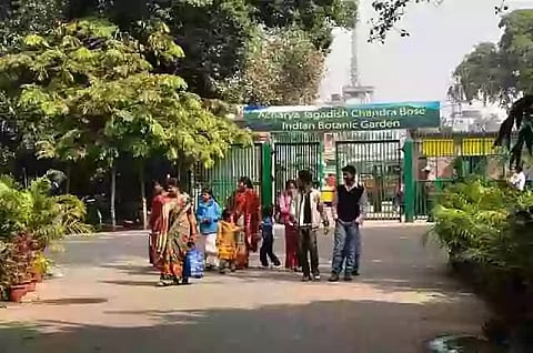 क्या आप भी Howrah के Botanical garden में घुमने का बना रहे हैं प्लान ?