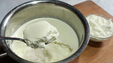 How To Make Dahi: सिर्फ 15 मिनट में घर पर ऐसे जमाए बाजार वाला मलाई जैसा दही