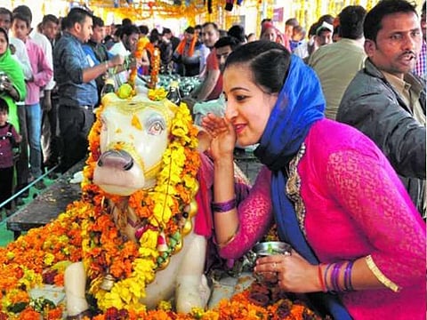 नंदी के कान में मनोकामना बोलने का ये है सही तरीका, तुरंत …