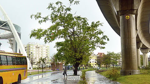 पहली बार : न्यूटाउन में ब्लॉकचेन सिस्टम से किया जायेगा जमीनों का लेन-देन