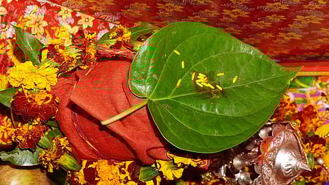 पान के सिर्फ एक पत्ते से चमक जाएगी आपकी सोई किस्मत !