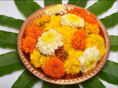 हिंदू शास्त्र में गेंदा फूल का है बड़ा महत्व, भगवान को ऐसे अर्पित करेंगे तो पूरी होगी मनोकामना!