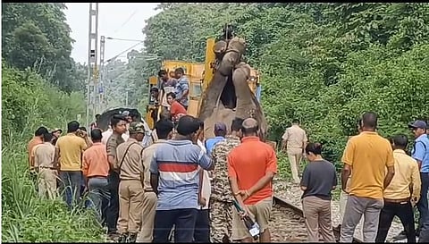Bengal Accident : तेज रफ्तार ट्रेन ने हाथी को टक्कर मारी, गर्भवती …