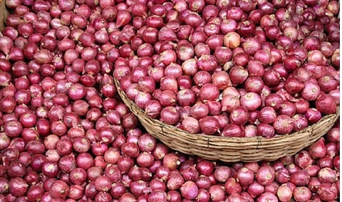 टमाटर के बाद बढ़ेंगी प्याज की कीमतें! रोकने के लिए केंद्र सरकार ने उठाया कदम